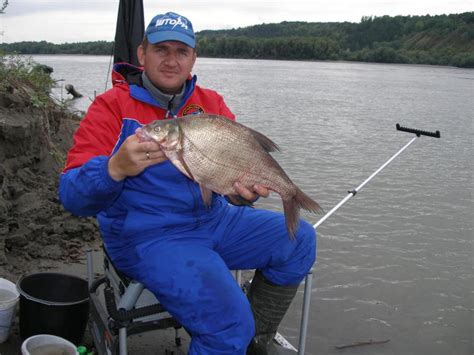 Фидер ZEMEX Razer Progressive Feeder 13ft 110g - Фидерные удилища - АРК