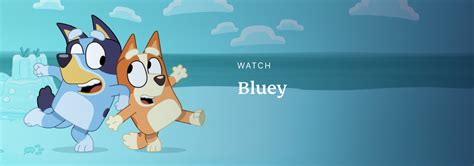 Bluey Onde Assistir - Onde assistir Bluey online | Blog da ExpressVPN