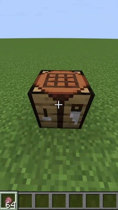 Minecraft Armadillos And Wolf Armor Youtube