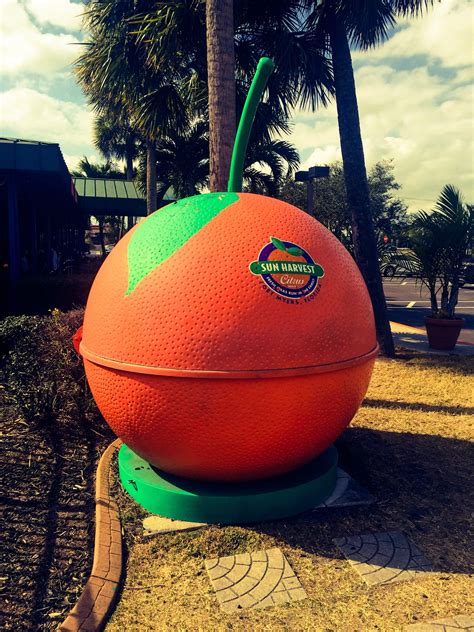 Fort Myers Nursery at Eileen Perry blog