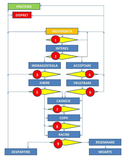 Blogul meu: Schema logica a relatiilor