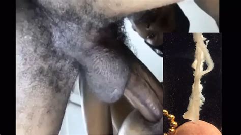 Free Seeding Porn Videos XHamster