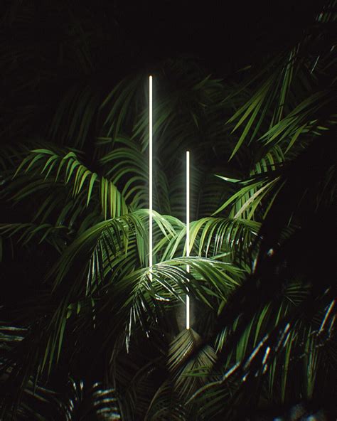 Artstation Jungle Lights Frederic Kokott Neon Light Wallpaper