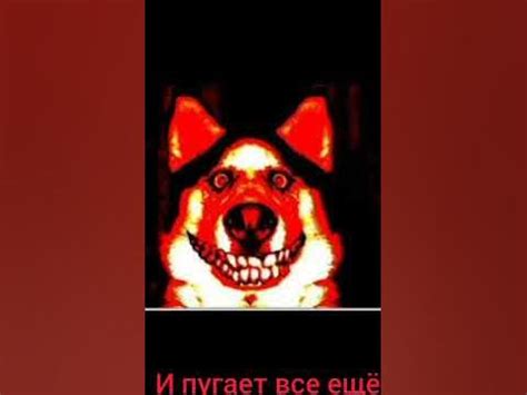 История Смайл Дог - YouTube