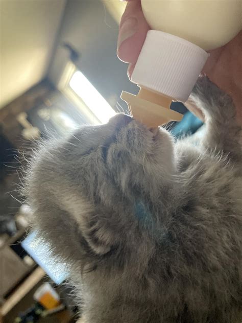 Further expansions are coming soon for elhatton funeral bathurst 3