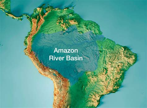 Amazon Rainforest Plants Animals Climate Deforestation 60 Off