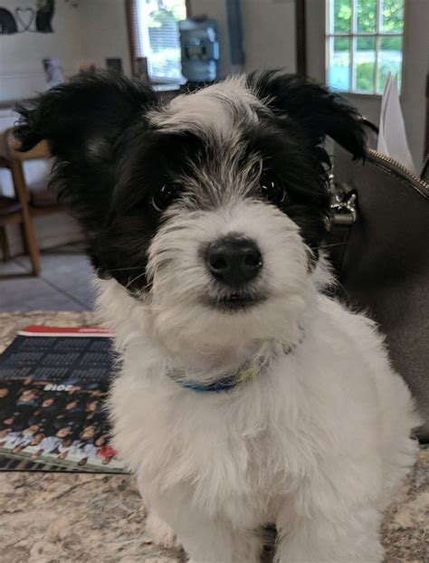 Significant upgrades are coming to the linwood animal hospital facilities 5