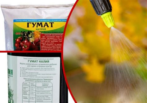 Подкормка растений гуматом натрия и калия — для чего это делается и как ...