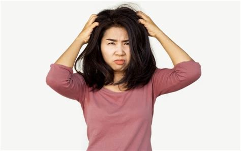 Is it Lice? Signs and Symptoms of Head Lice | Fresh Heads Lice Removal