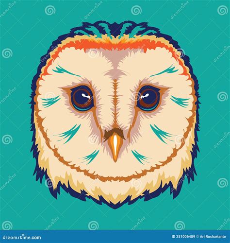 Barn Owl Face Drawing