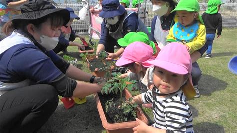 野菜の苗を植えました！（2023419） さくらんぼ ちびっ子保育園 ブログ