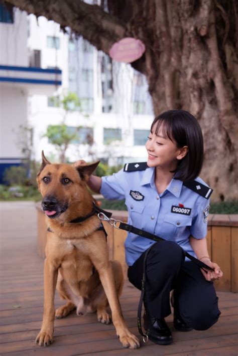 《警花与警犬》姊妹篇《警犬来啦》 全新阵容开机