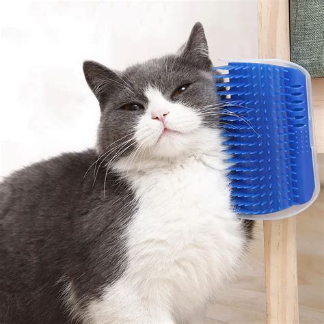 Brosse Poils Chat Green Auto Toiletteur Pour Chat Avec Herbe Chat