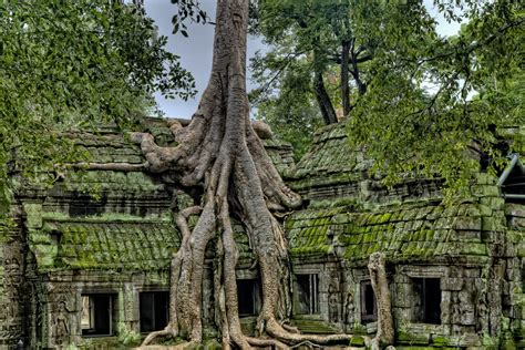 Temples in Cambodia - 12 Must-Visit Religious Places | OneVasco Blog