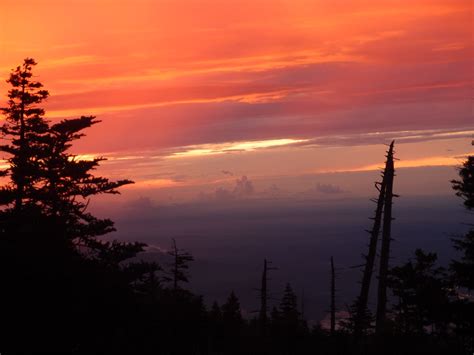 Blog Archives - High On LeConte