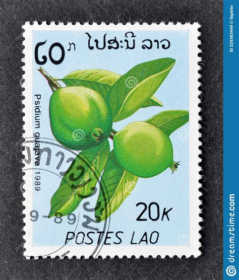 Cancelled Postage Stamp Printed By Laos That Shows Psidium Guajava