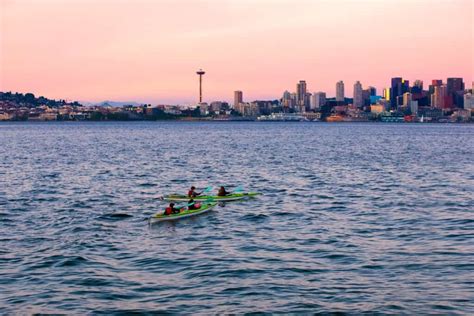 What Lives At The Bottom Of The Puget Sound A Z Animals