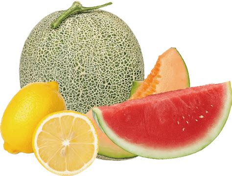 Lemon Melon Watermelon Ice Punnevape