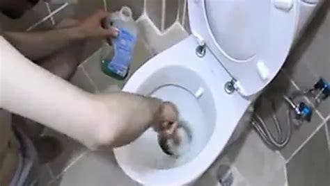 Free Pet Slave Porn Videos Xhamster