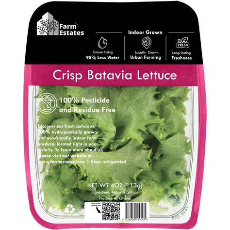 Crisp Batavia Lettuce