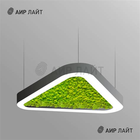 Светильник - Треугольник со мхом - AIR Light
