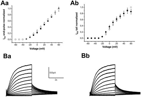 A Iks V Curves Of The Current At The End Of The Pulse Aa And Peak