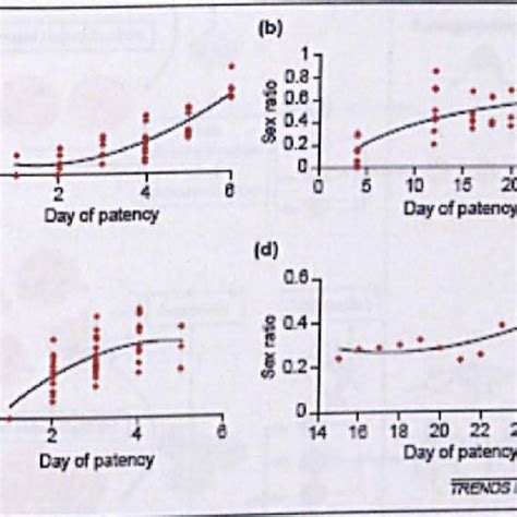 10 Increase Of The Sex Ratio Over Time A P Vinckei B P Berghei Download Scientific