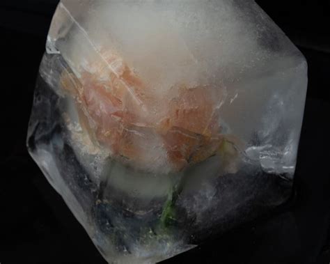 Ghim của Alena trên Квіти та льод