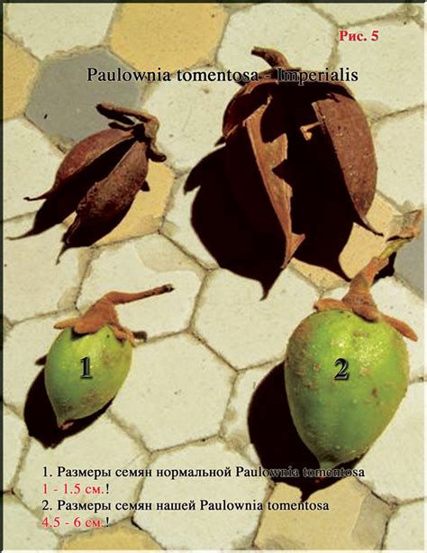 Источник Жизни – 1 - Сайт Николая Левашова