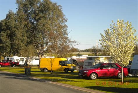 Holbrook Motor Village Caravan Camping Nsw