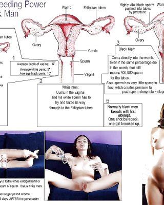 Interracial Captions Porn Pictures Xxx Photos Sex Images Pictoa