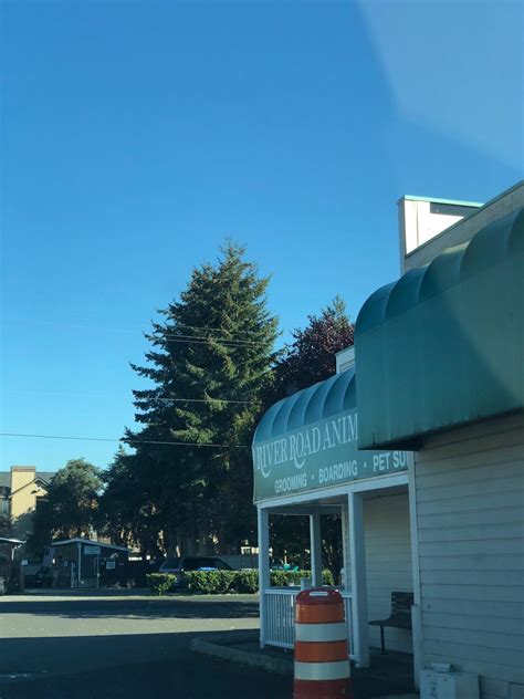 animal hospital puyallup 3