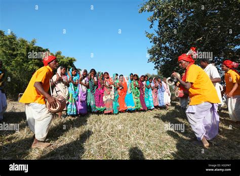 Tribal People Performing Karma Dance Nagesia Tribe Dadgaon Village