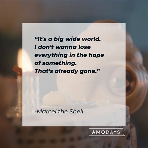 24 Marcel the Shell Quotes That Give A New Perspective on Life