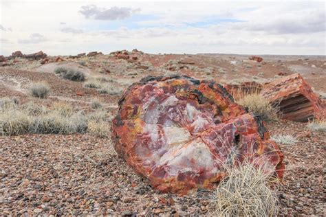 Petrified Forest National Park Arizona Travel Experience Live