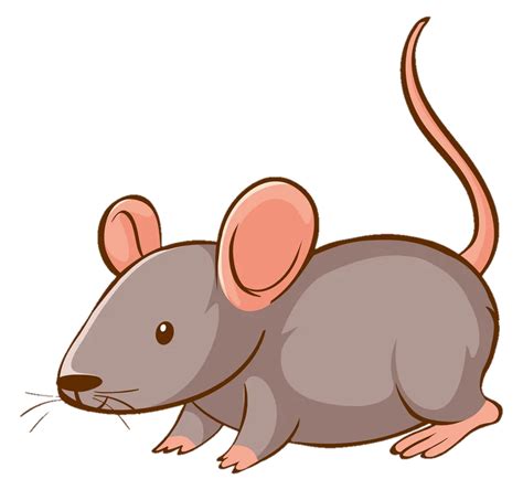 Rat Png Transparent Images Pictures Photos Png Arts