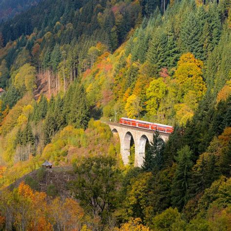 Black Forest Railway Shutterbug