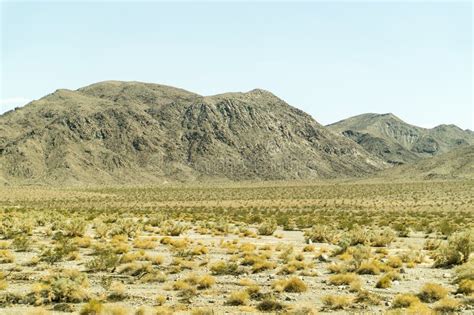 Desert and Mountain Landscape View in Nevada. Stock Image - Image of ...