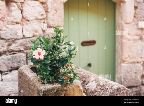 Old Vintage Wooden Door With Flower Pots Stock Photo Alamy