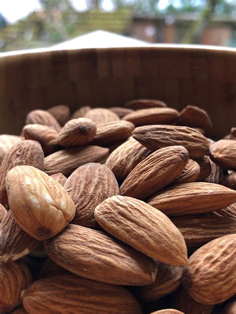 raw regenerative organic almonds burroughs family farms