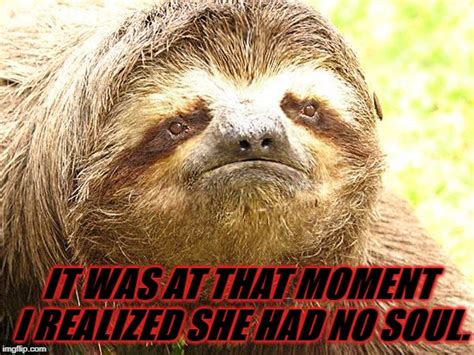 The Dangers Of Sloths Their Claws And Chlamydia Mudfooted