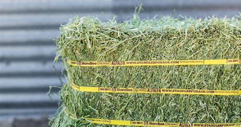 Certified Alfalfa Compressed Bale Standlee Forage