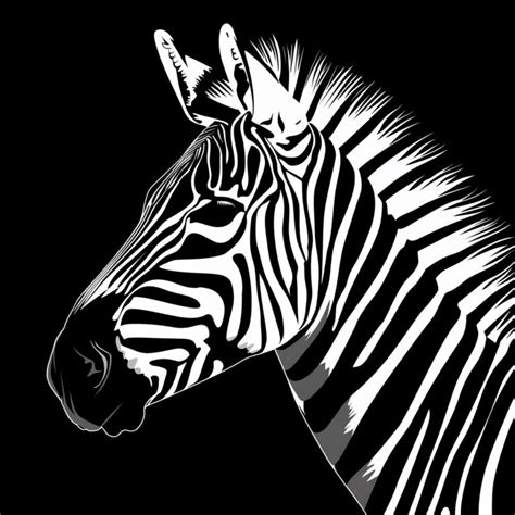 Why Do Zebras Have Stripes? - Sarai Chinwag