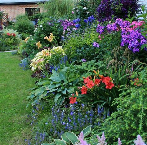 Флоксы вдоль дорожек на даче (36 фото) » НА ДАЧЕ ФОТО