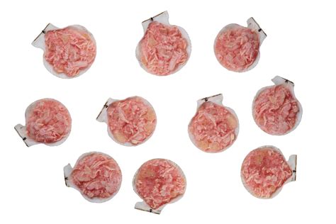 Гребешок для запекания По-Шанхайски. 500гр - купить в СПб | РЫБОЛОВ