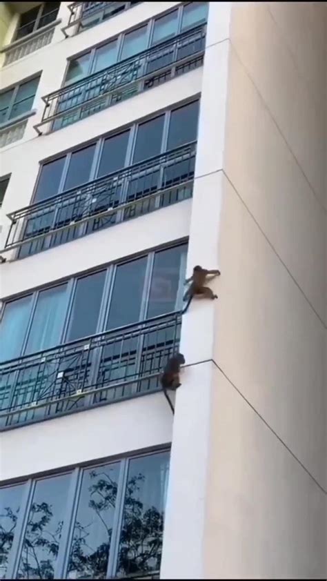 Hilarious Fail Compilation - Funny Fails That - One News Page VIDEO