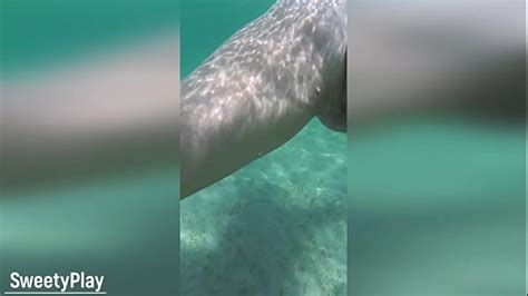 Multiple Cum Inside Search XVIDEOS