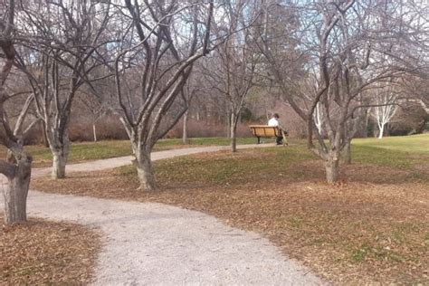 History CSU Heritage Arboretum And Woody Plant Research