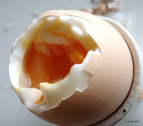 la coque  egg   hen gourmande  osaka