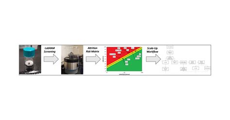 Development of a Novel Screening Methodology for the Assessment of the Risk of Particle Size ...